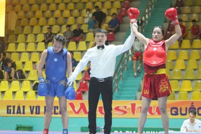 Wushu một trong những môn thuộc Trung tâm Võ thuật cổ truyền Bình Định