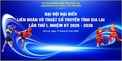 Tổ chức Đại hội Liên đoàn Võ thuật cổ truyền tỉnh Gia Lai lần thứ I